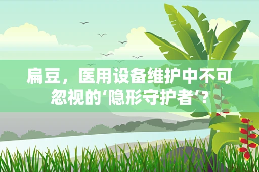 扁豆，医用设备维护中不可忽视的‘隐形守护者’？