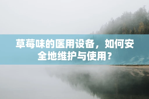 草莓味的医用设备，如何安全地维护与使用？