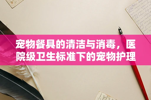 宠物餐具的清洁与消毒，医院级卫生标准下的宠物护理关键
