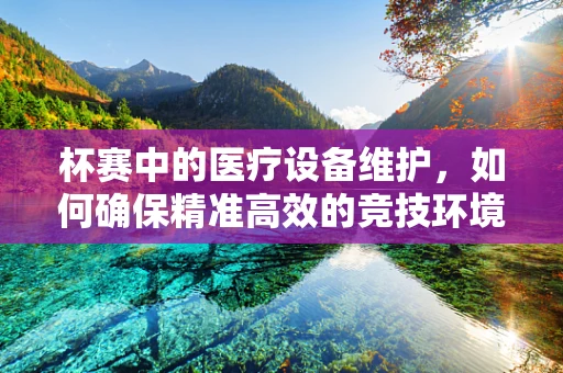 杯赛中的医疗设备维护，如何确保精准高效的竞技环境？