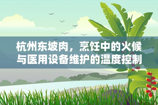 杭州东坡肉，烹饪中的火候与医用设备维护的温度控制有何异曲同工之处？