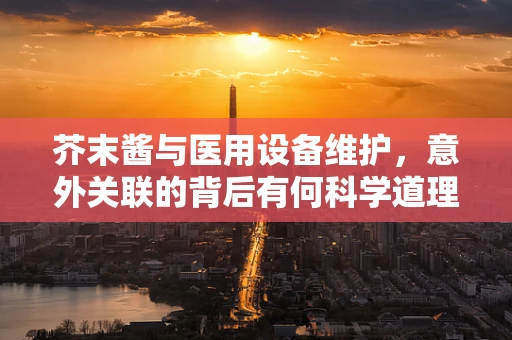 芥末酱与医用设备维护，意外关联的背后有何科学道理？