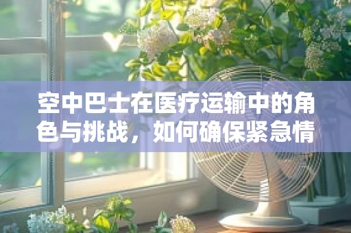 空中巴士在医疗运输中的角色与挑战，如何确保紧急情况下的安全与高效？