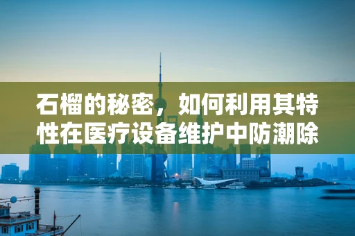 石榴的秘密，如何利用其特性在医疗设备维护中防潮除湿？