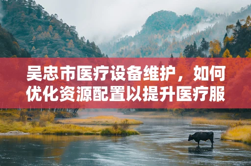 吴忠市医疗设备维护，如何优化资源配置以提升医疗服务效率？