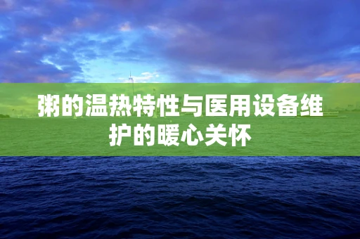 粥的温热特性与医用设备维护的暖心关怀