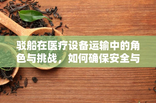 驳船在医疗设备运输中的角色与挑战，如何确保安全与高效？