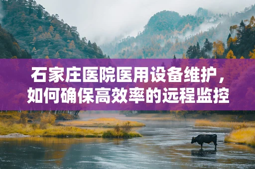 石家庄医院医用设备维护，如何确保高效率的远程监控与支持？