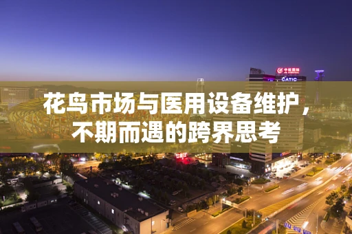 花鸟市场与医用设备维护，不期而遇的跨界思考