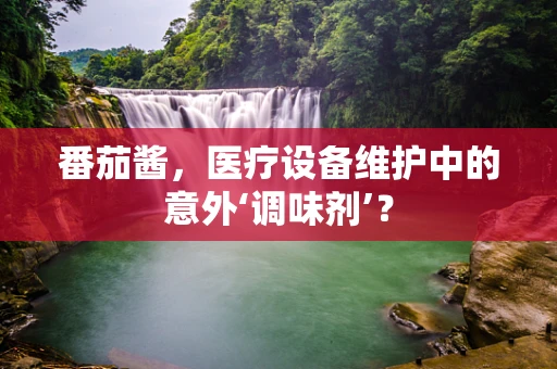 番茄酱，医疗设备维护中的意外‘调味剂’？