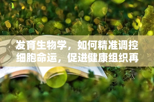 发育生物学，如何精准调控细胞命运，促进健康组织再生？