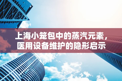 上海小笼包中的蒸汽元素，医用设备维护的隐形启示