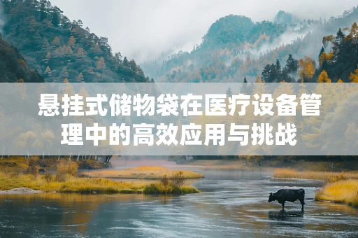 悬挂式储物袋在医疗设备管理中的高效应用与挑战