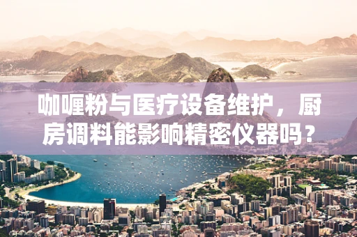 咖喱粉与医疗设备维护，厨房调料能影响精密仪器吗？