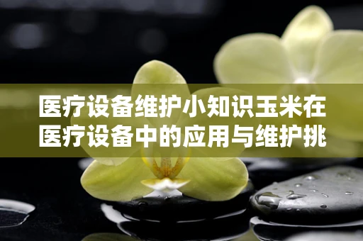 医疗设备维护小知识玉米在医疗设备中的应用与维护挑战