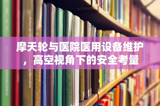 摩天轮与医院医用设备维护，高空视角下的安全考量