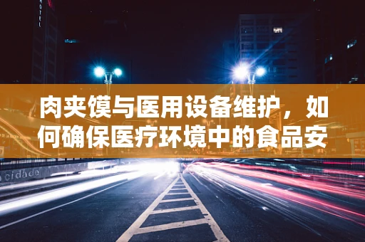 肉夹馍与医用设备维护，如何确保医疗环境中的食品安全与设备安全？