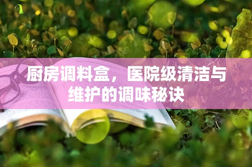 厨房调料盒，医院级清洁与维护的调味秘诀