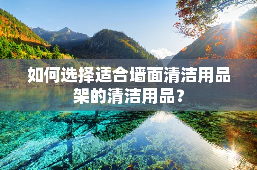 如何选择适合墙面清洁用品架的清洁用品？