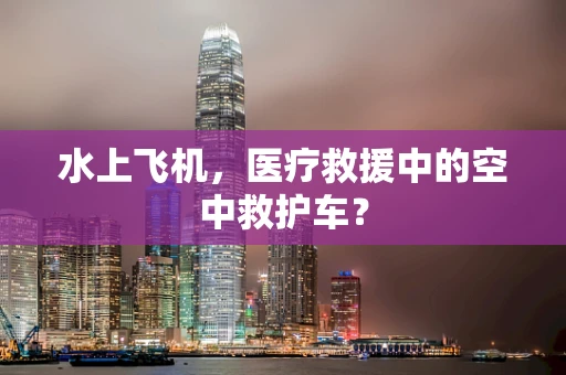 水上飞机，医疗救援中的空中救护车？