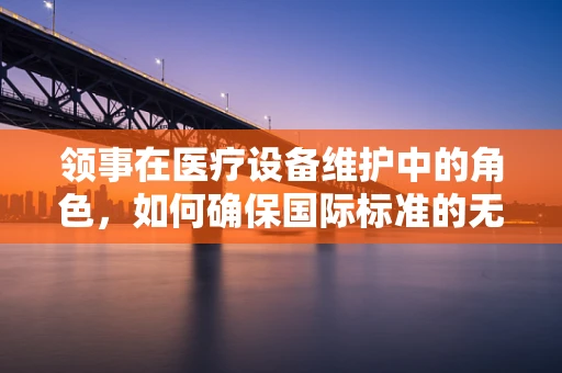 领事在医疗设备维护中的角色，如何确保国际标准的无缝对接？