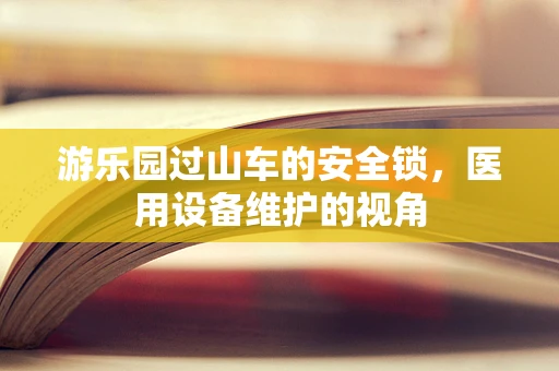 游乐园过山车的安全锁，医用设备维护的视角