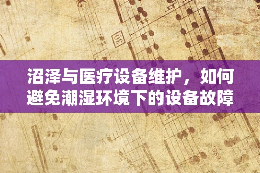 沼泽与医疗设备维护，如何避免潮湿环境下的设备故障？