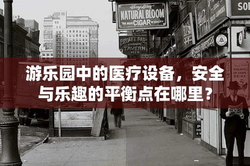 游乐园中的医疗设备，安全与乐趣的平衡点在哪里？