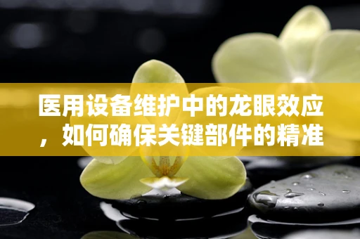 医用设备维护中的龙眼效应，如何确保关键部件的精准保养？