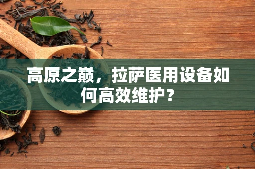 高原之巅，拉萨医用设备如何高效维护？