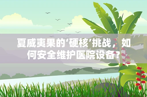 夏威夷果的‘硬核’挑战，如何安全维护医院设备？