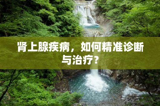 肾上腺疾病，如何精准诊断与治疗？