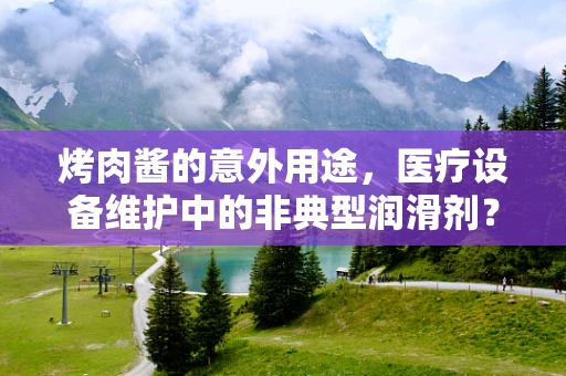 烤肉酱的意外用途，医疗设备维护中的非典型润滑剂？
