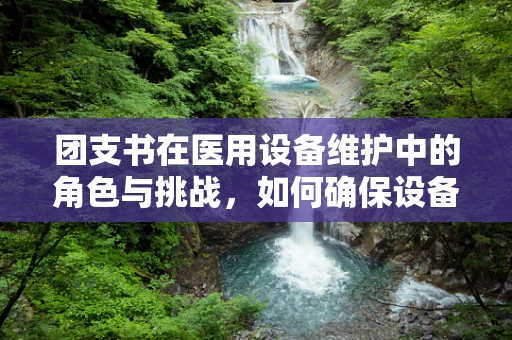 团支书在医用设备维护中的角色与挑战，如何确保设备‘健康’运转？