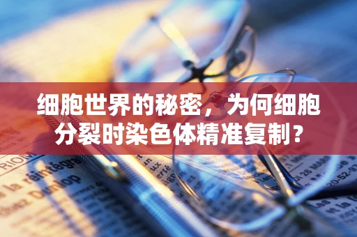 细胞世界的秘密，为何细胞分裂时染色体精准复制？