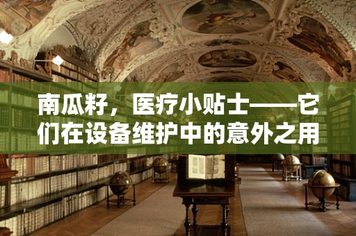 南瓜籽，医疗小贴士——它们在设备维护中的意外之用？