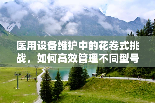 医用设备维护中的花卷式挑战，如何高效管理不同型号的医疗设备？