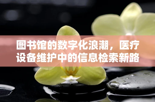 图书馆的数字化浪潮，医疗设备维护中的信息检索新路径？