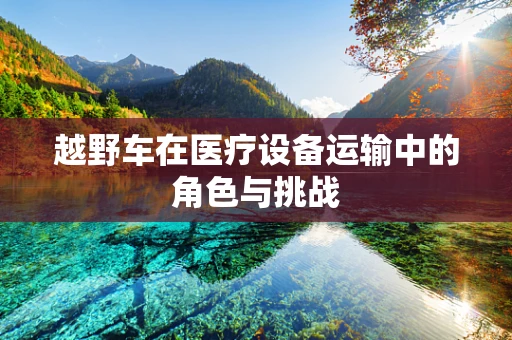 越野车在医疗设备运输中的角色与挑战