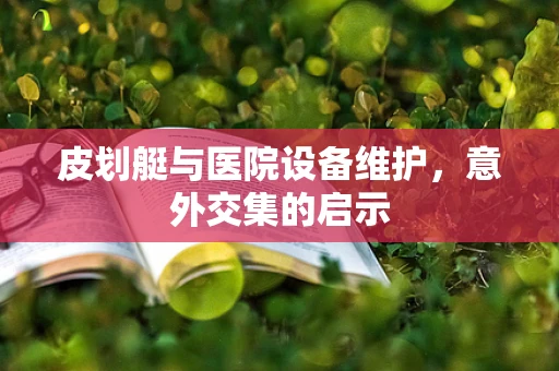 皮划艇与医院设备维护，意外交集的启示