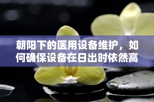 朝阳下的医用设备维护，如何确保设备在日出时依然高效？