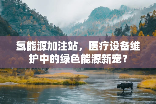 氢能源加注站，医疗设备维护中的绿色能源新宠？