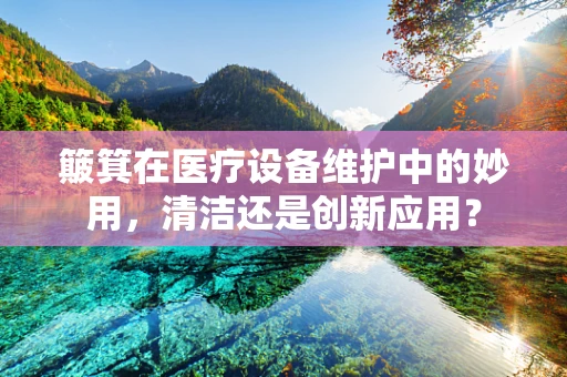 簸箕在医疗设备维护中的妙用，清洁还是创新应用？