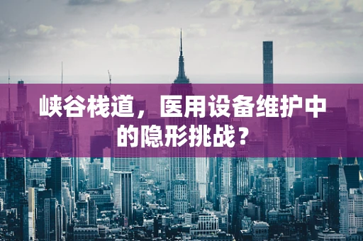 峡谷栈道，医用设备维护中的隐形挑战？