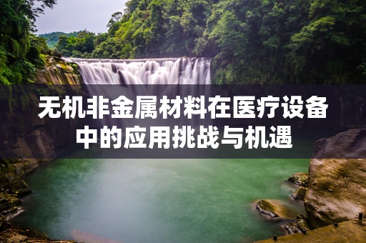 无机非金属材料在医疗设备中的应用挑战与机遇