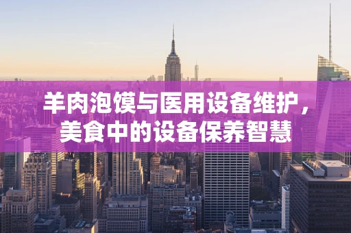 羊肉泡馍与医用设备维护，美食中的设备保养智慧