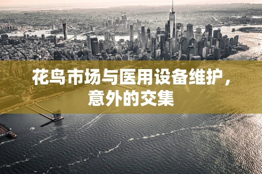 花鸟市场与医用设备维护，意外的交集