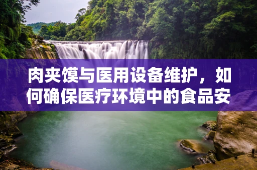 肉夹馍与医用设备维护，如何确保医疗环境中的食品安全？